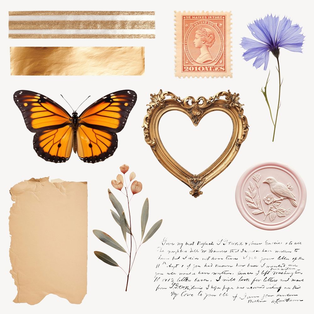 Vintage collage with nature elements  set psd