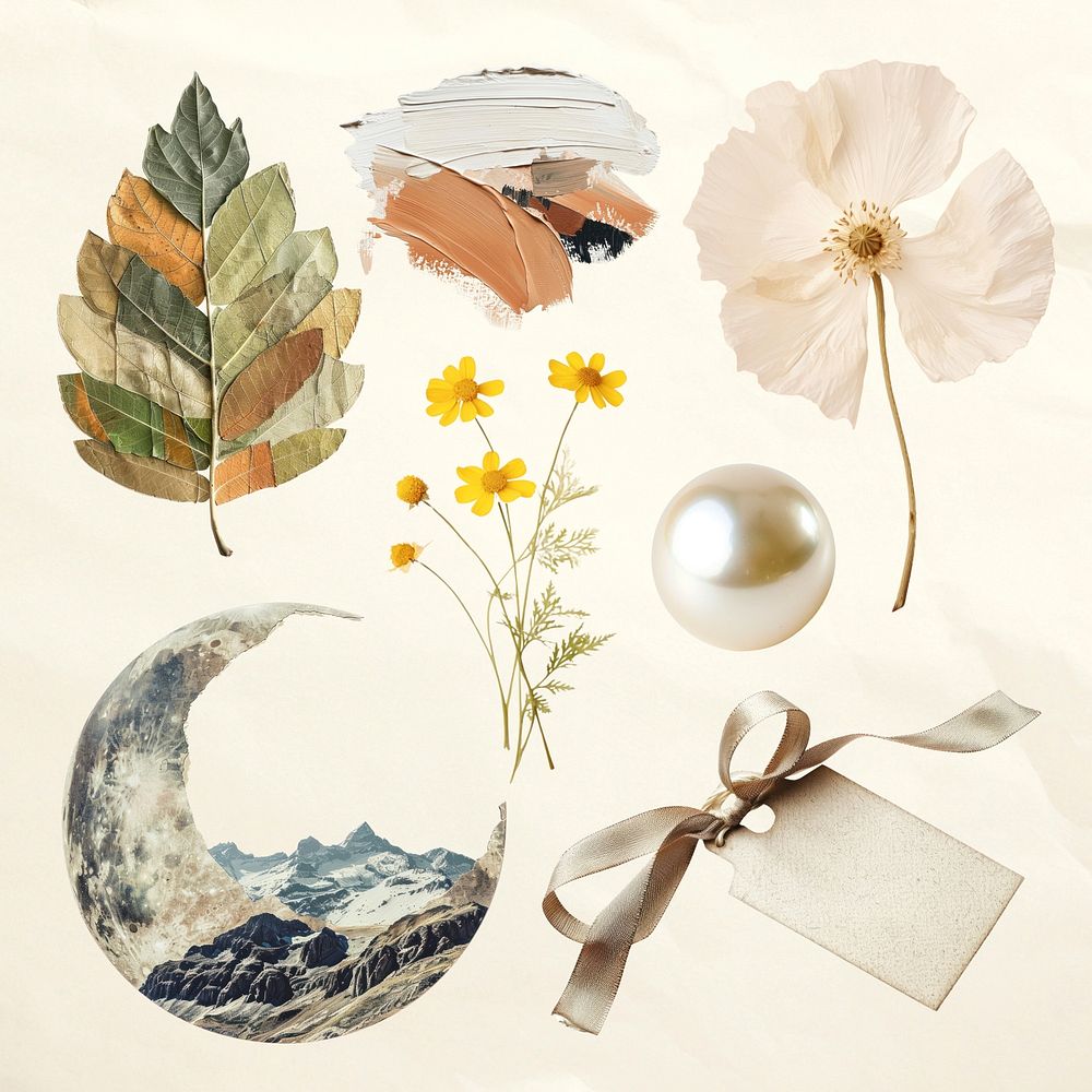 Nature-inspired artistic collage elements  set psd