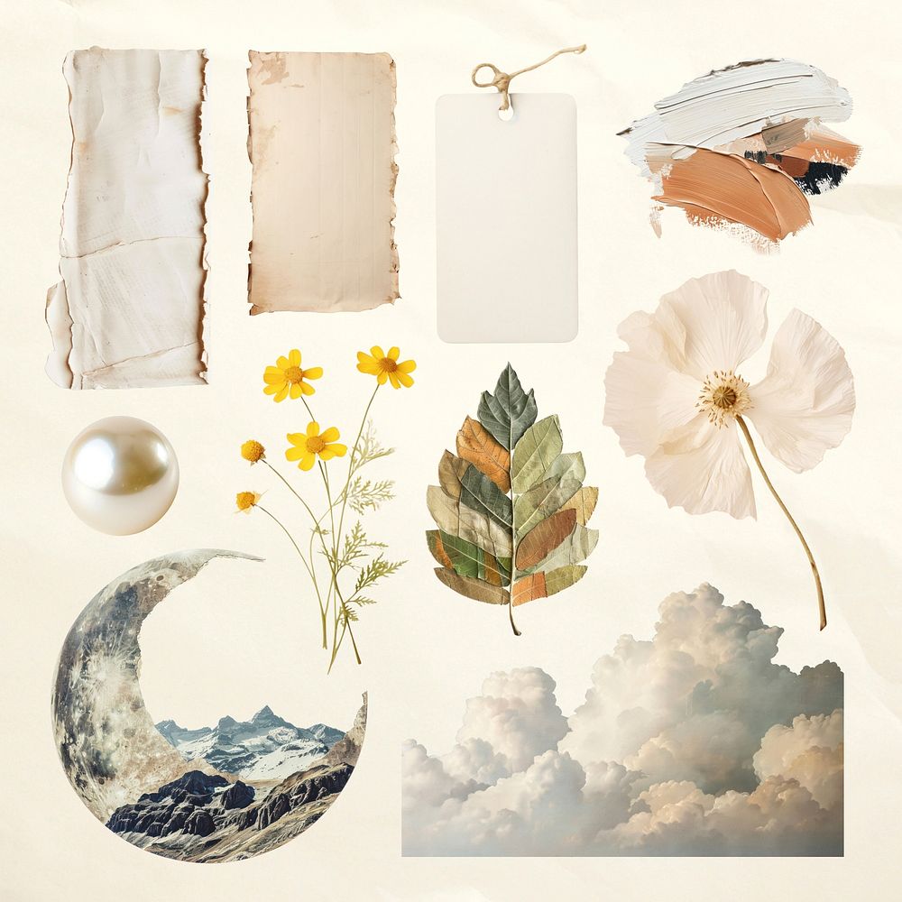 Vintage nature collage elements  set psd