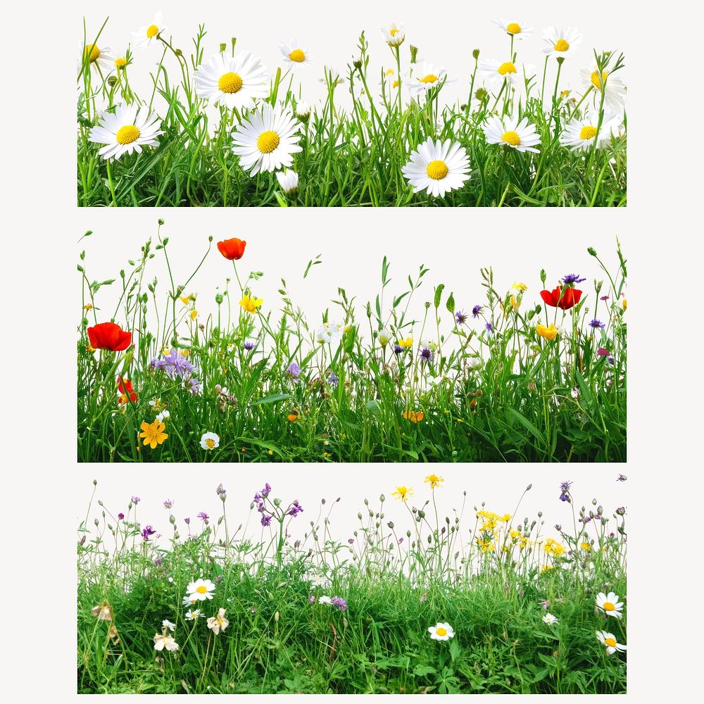 Vibrant wildflower meadow strips  set psd