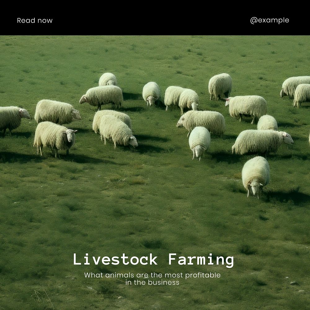 Livestock farming Facebook post template