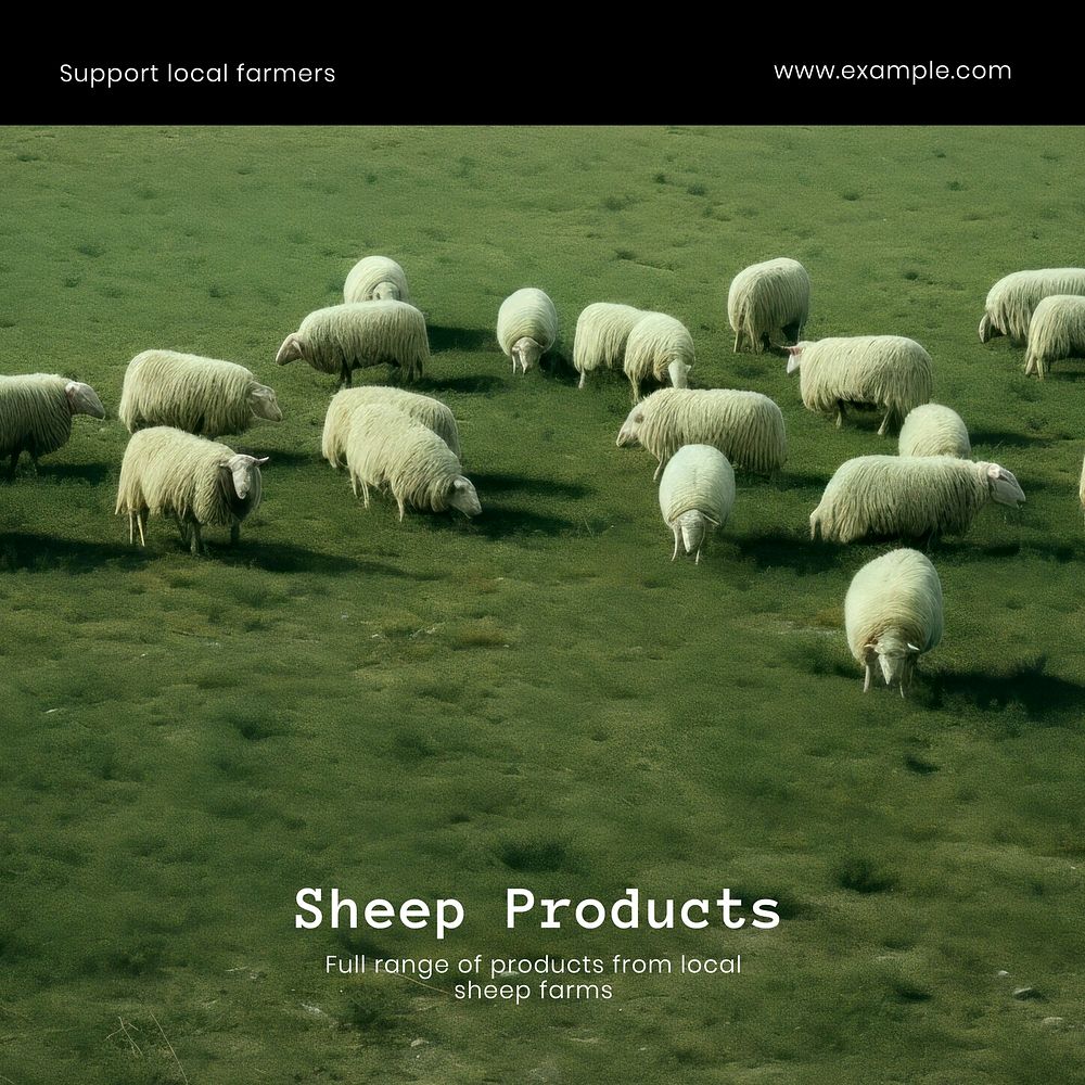 Sheep products  Instagram post template