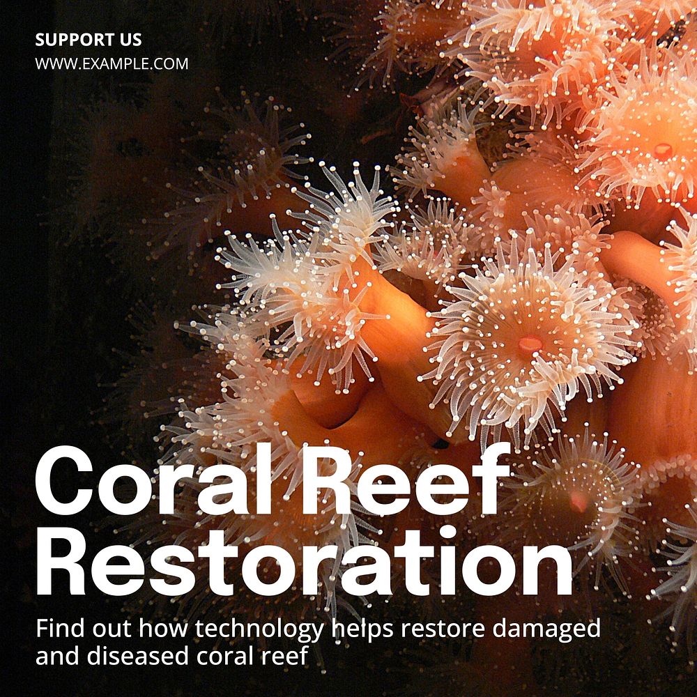 Coral reef restoration Instagram post template