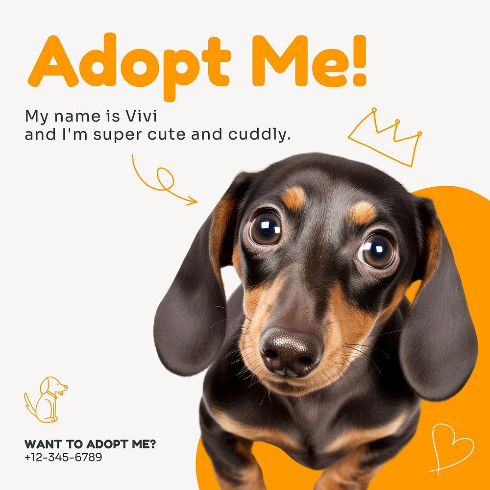 Pet adoption Instagram post template, editable text