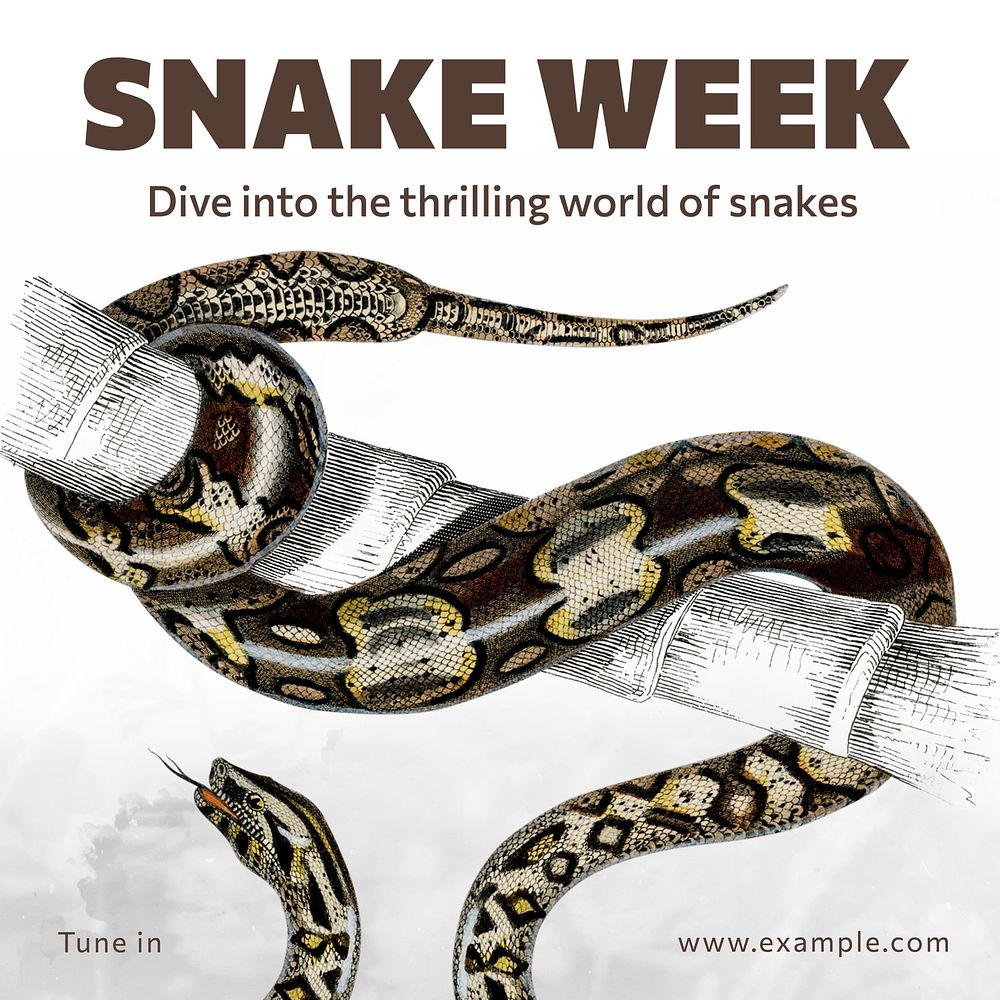 Snake week Instagram post template