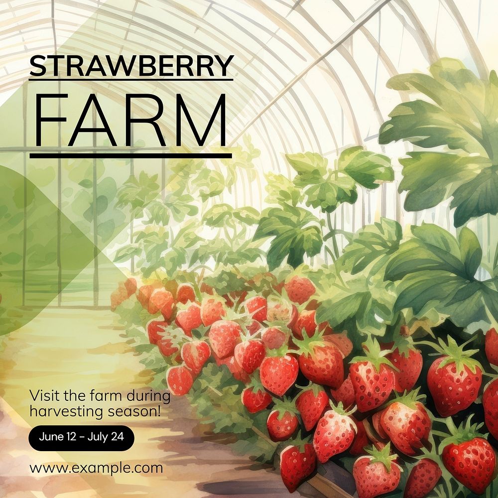 Strawberry farm Instagram post template