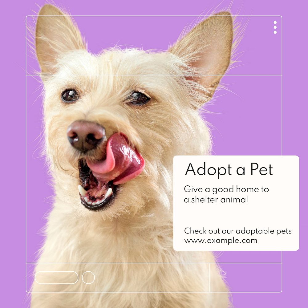 Adopt a pet Instagram post template