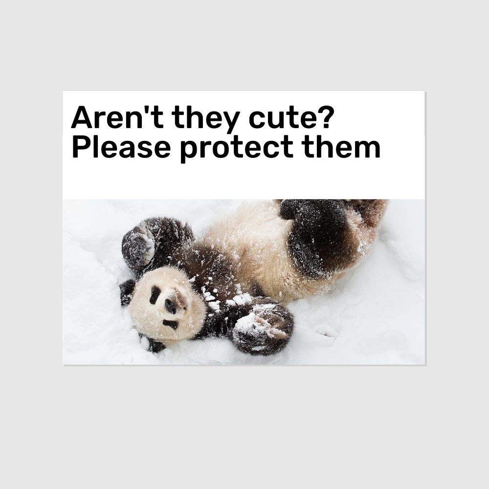 Protect animals Instagram post template