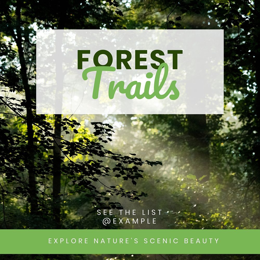 Forest trails  Instagram post template