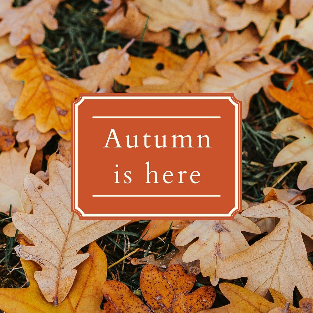 Welcome Autumn Instagram post template