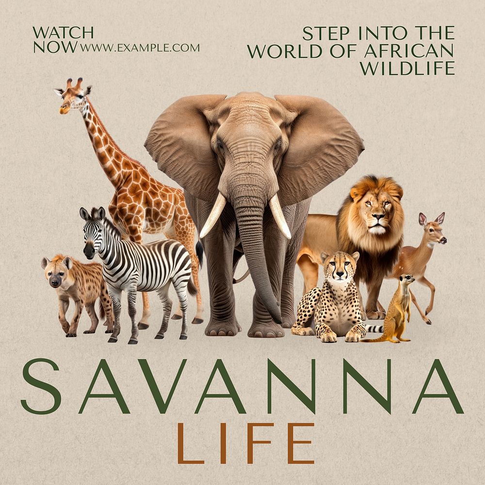 Savanna life Instagram post template, editable text