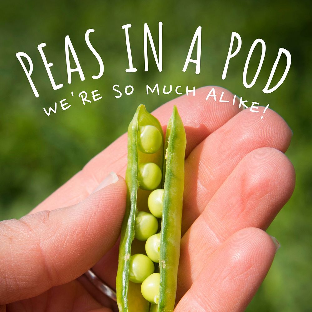 Peas in a pod Instagram post template  social media design