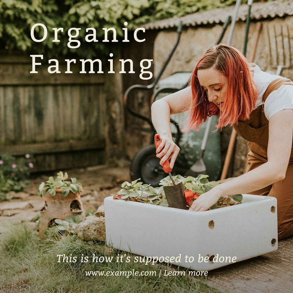 Organic farming Instagram post template  