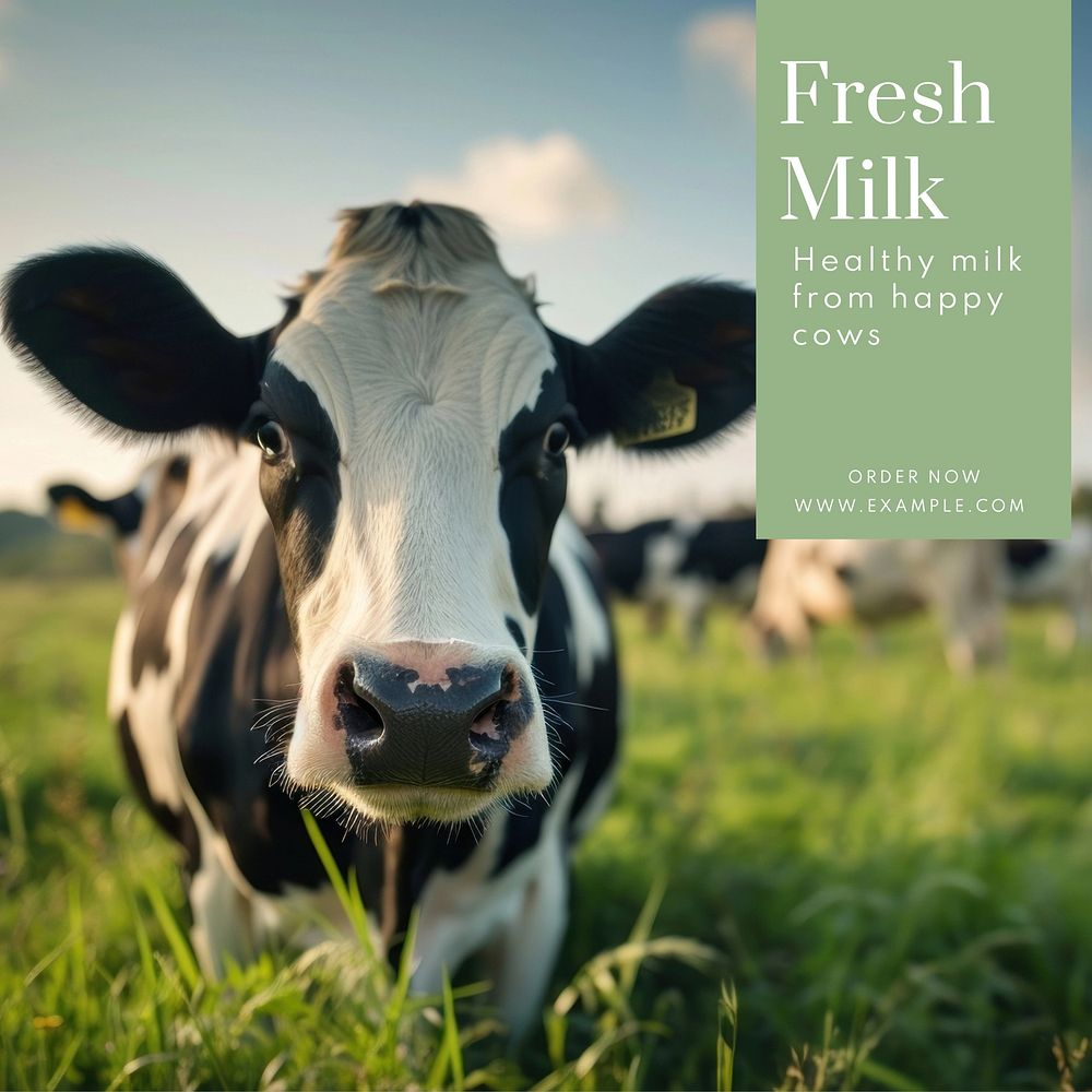 Fresh milk Facebook post template