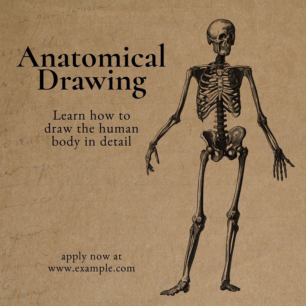 Anatomical drawing Instagram post template
