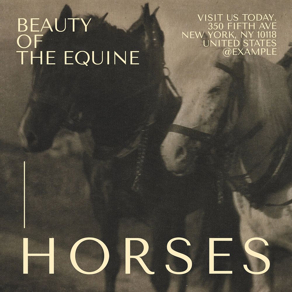 Beauty of horses Instagram post template