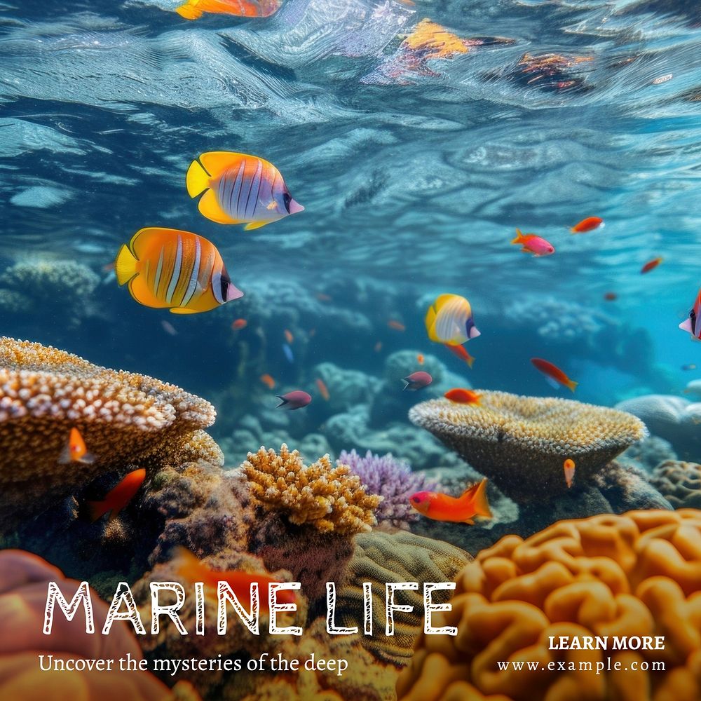 Marine life Instagram post template