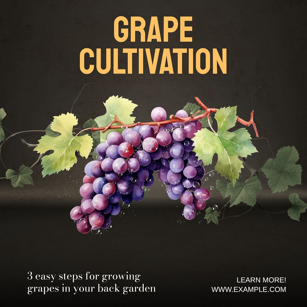Grape cultivation Instagram post template, editable text