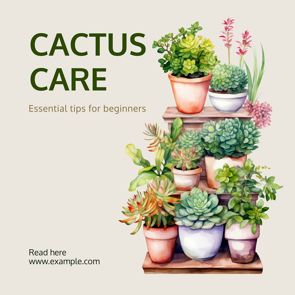 Cactus care Facebook post template