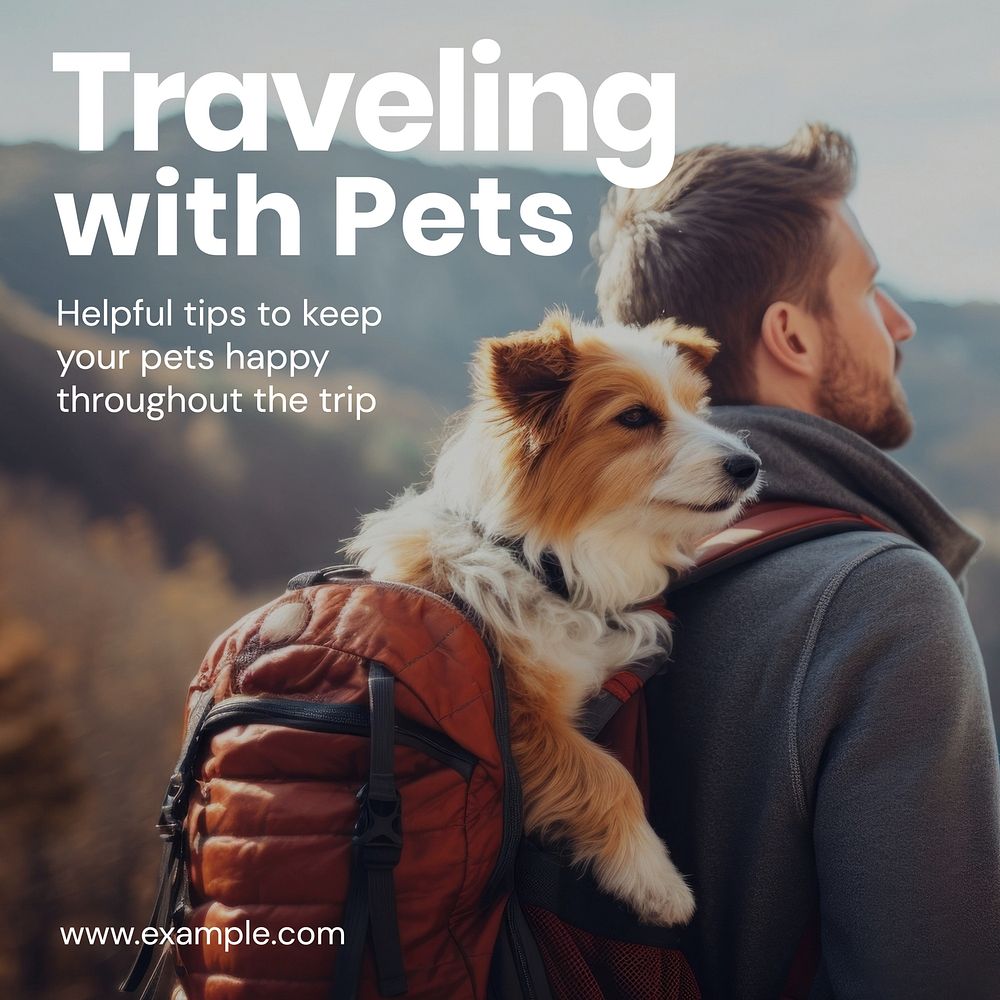 Travel with pets Instagram post template  social media design