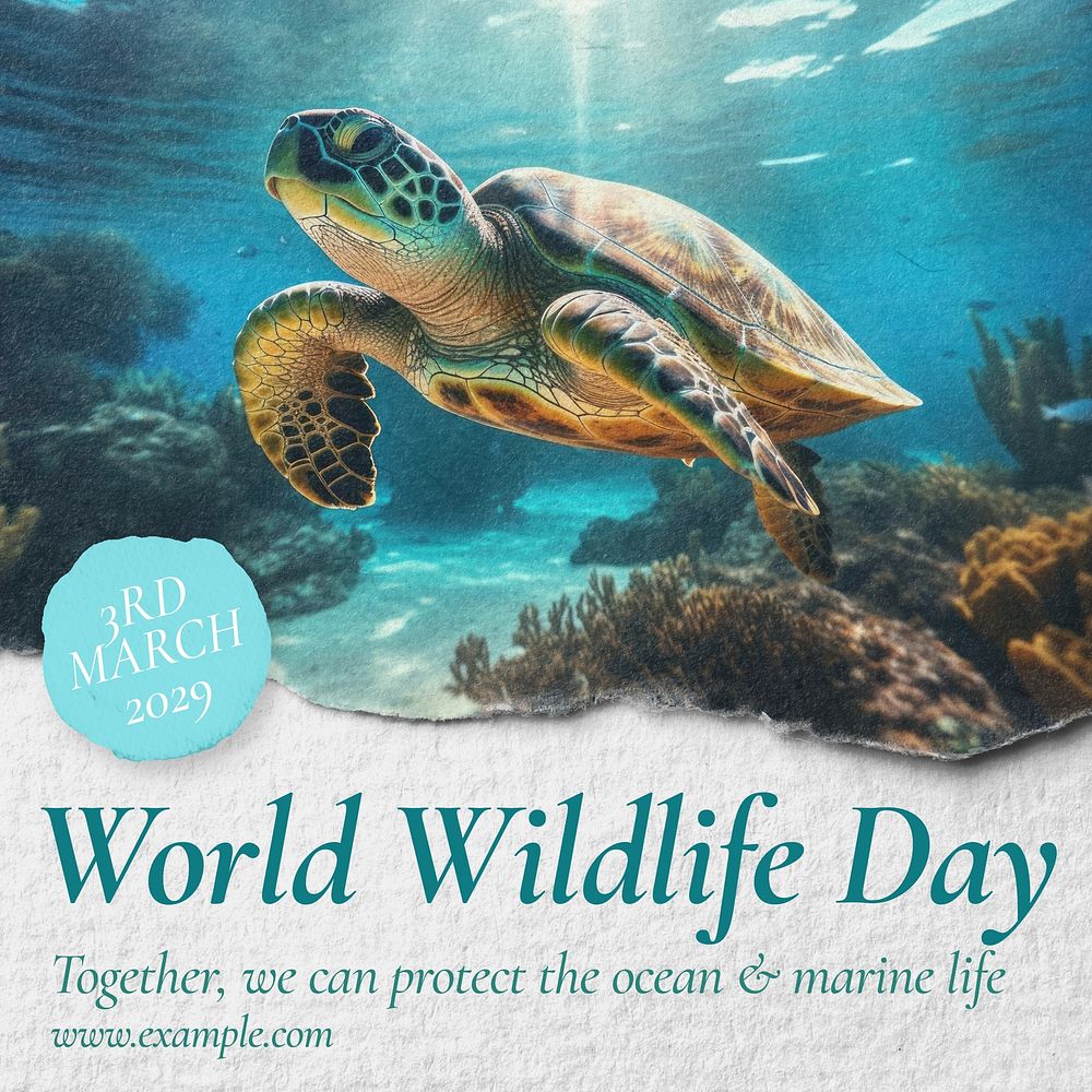 World wildlife day Instagram post template