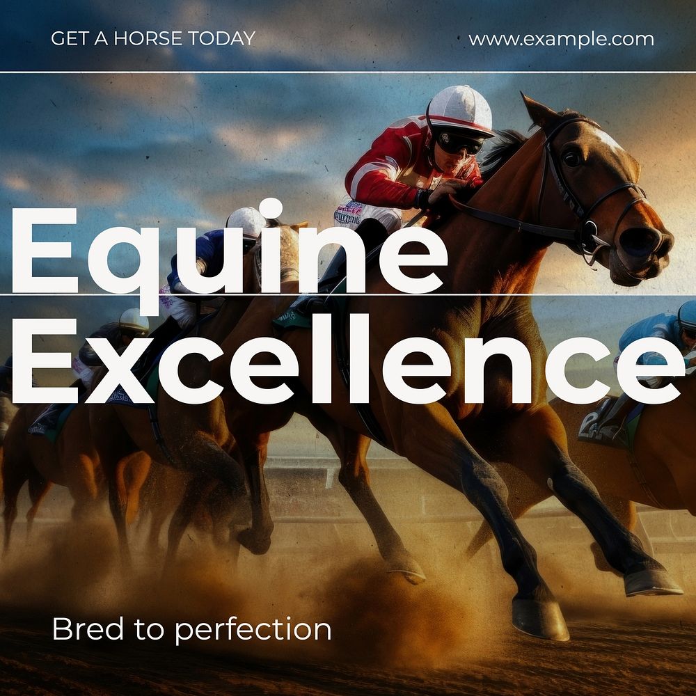 Equine excellence Facebook post template