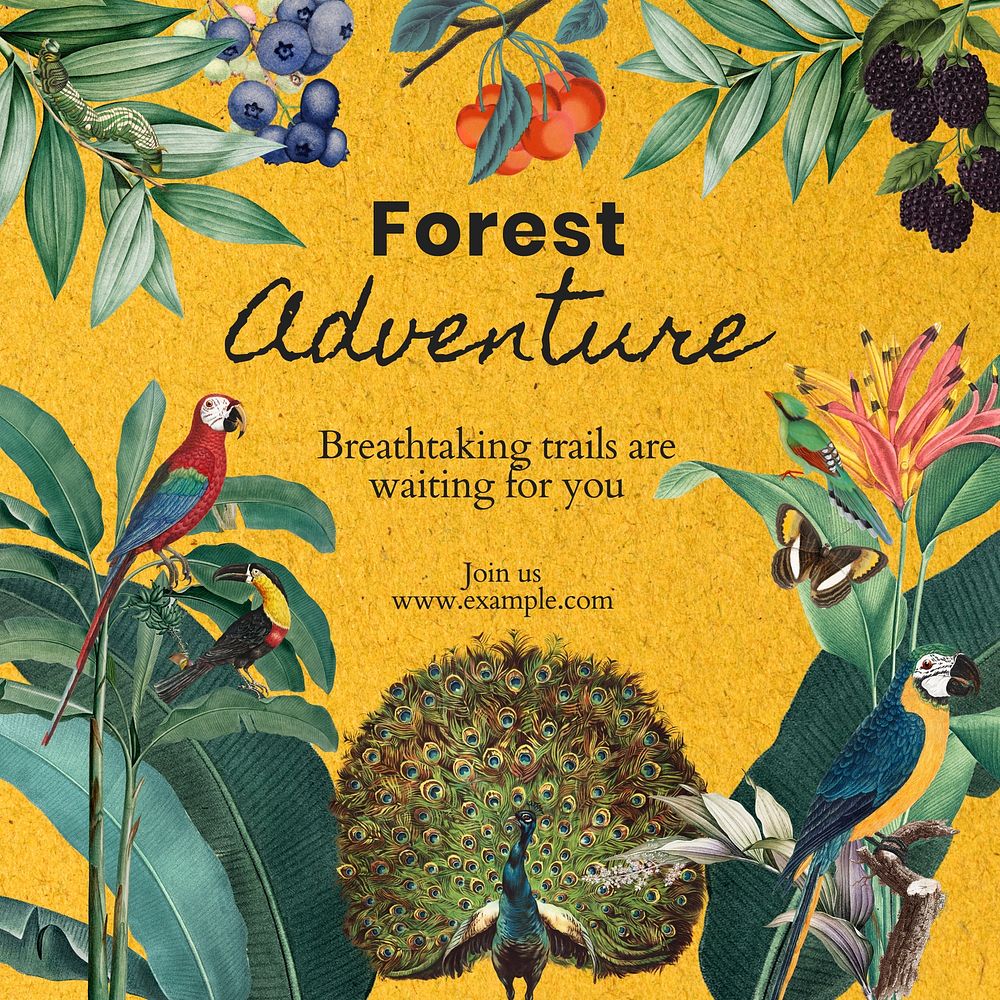 Forest adventure Instagram post template