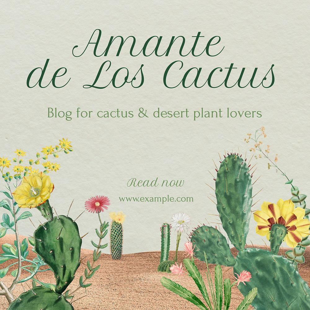 Cactus lovers Instagram post template