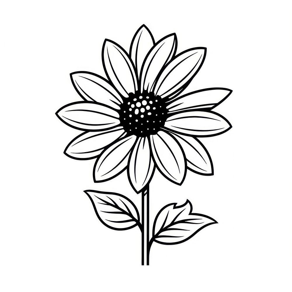 Gloriosa Daisy flower daisy illustrated asteraceae.