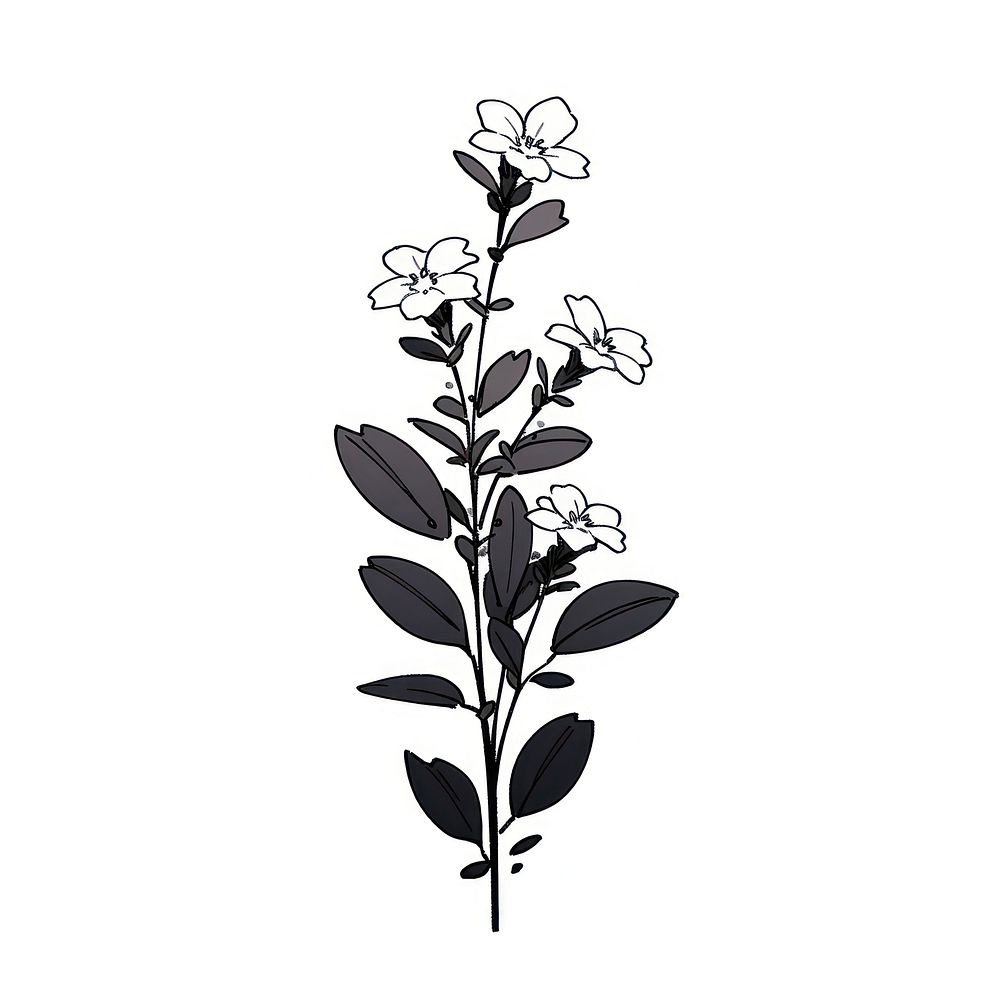 Lobelia flower illustrated graphics pattern.