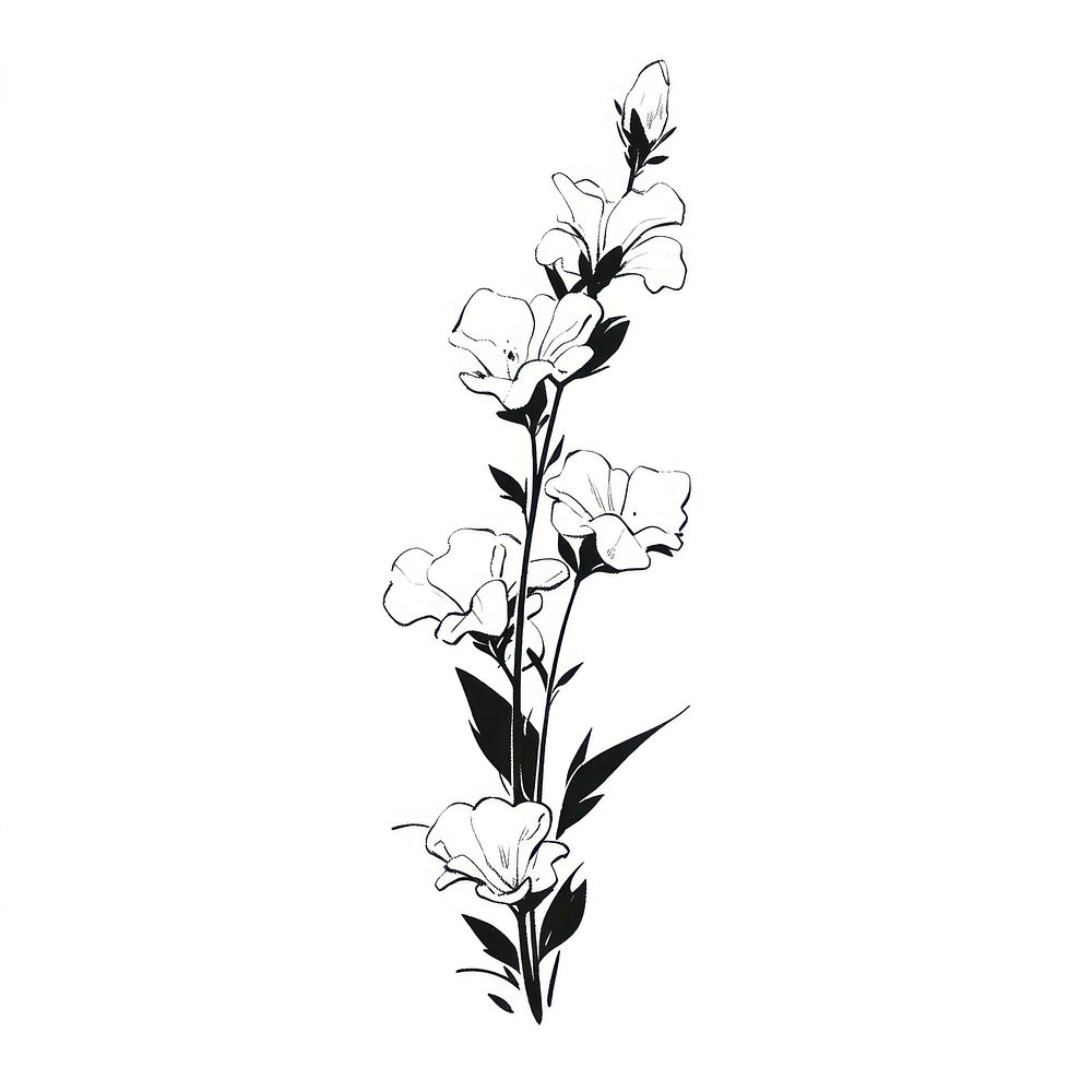 Monkshood flower illustrated graphics pattern.