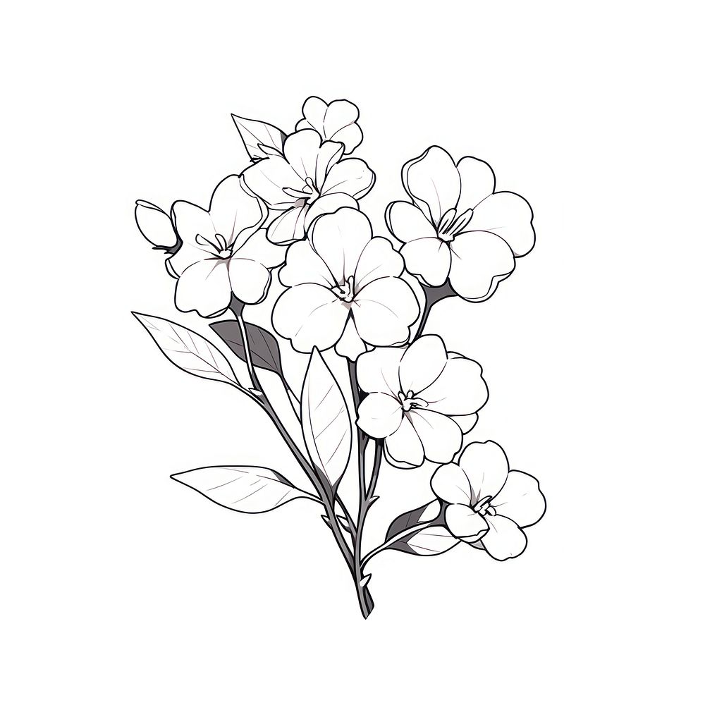 Stock flower illustrated drawing sketch.