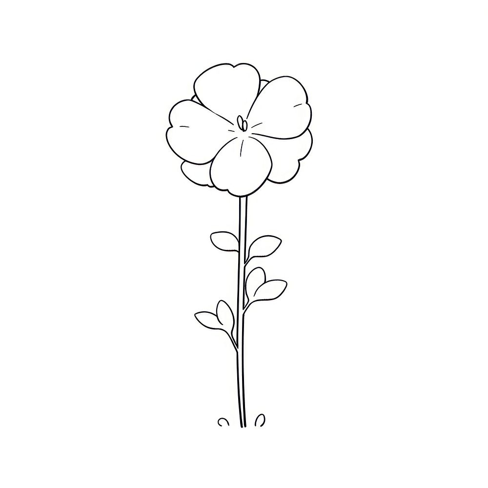 Stock flower illustrated drawing blossom.