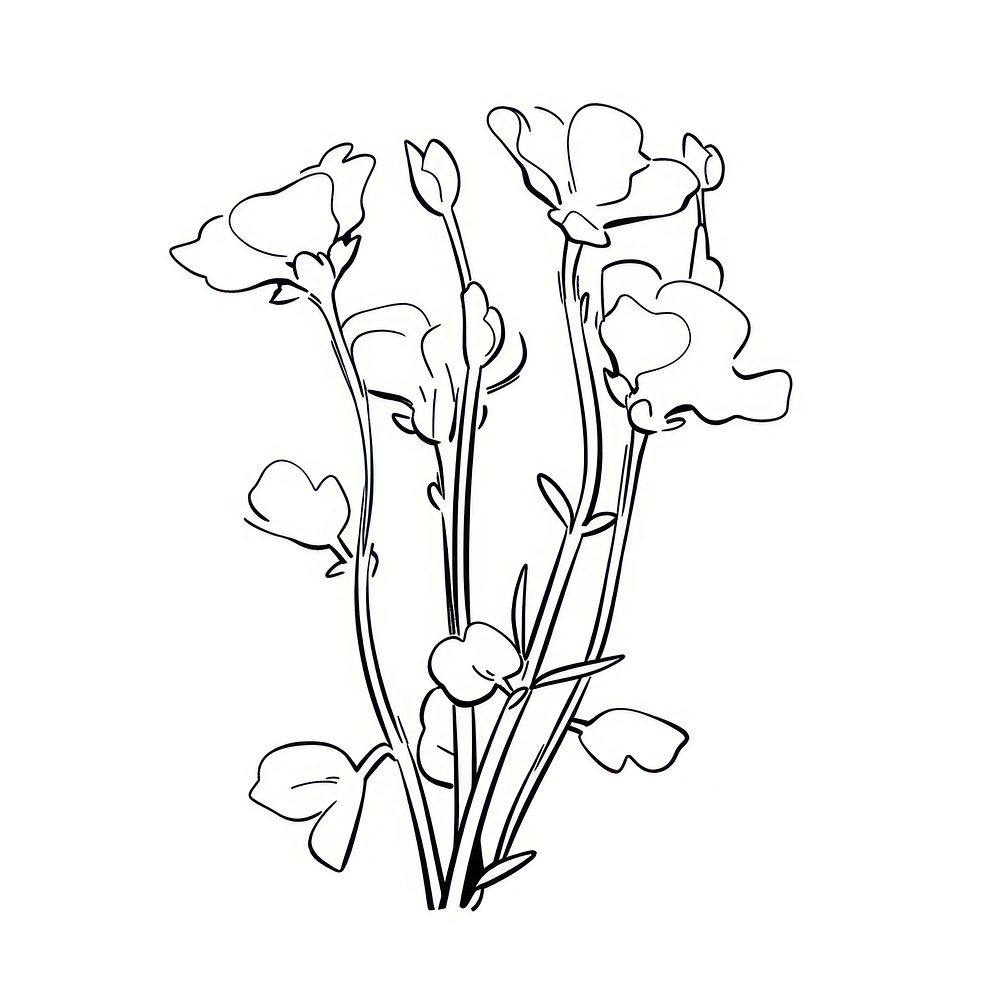 Sweet Pea flower illustrated chandelier drawing.