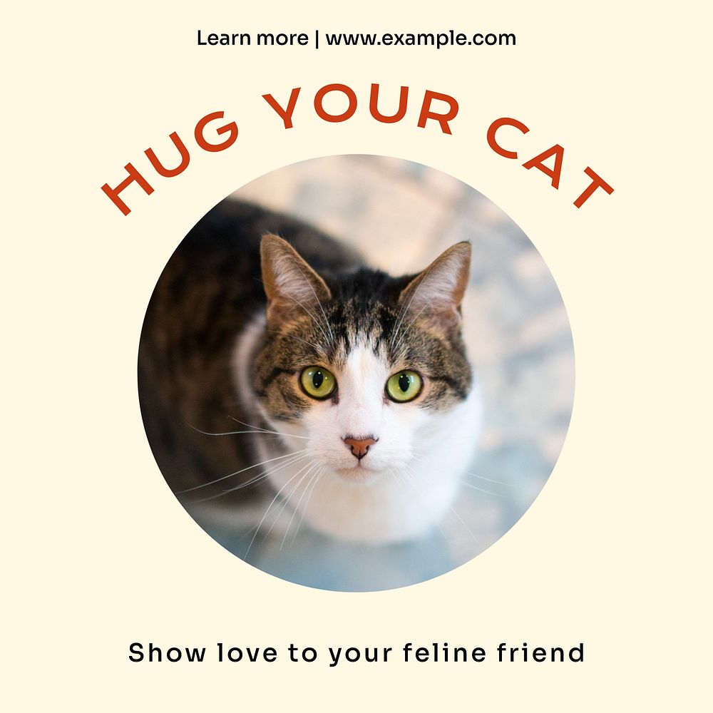 Hug your cat Instagram post template