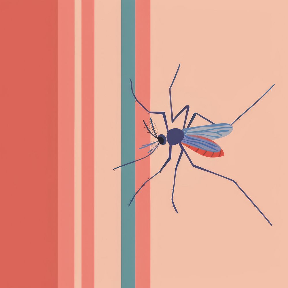 Malaria invertebrate mosquito animal.