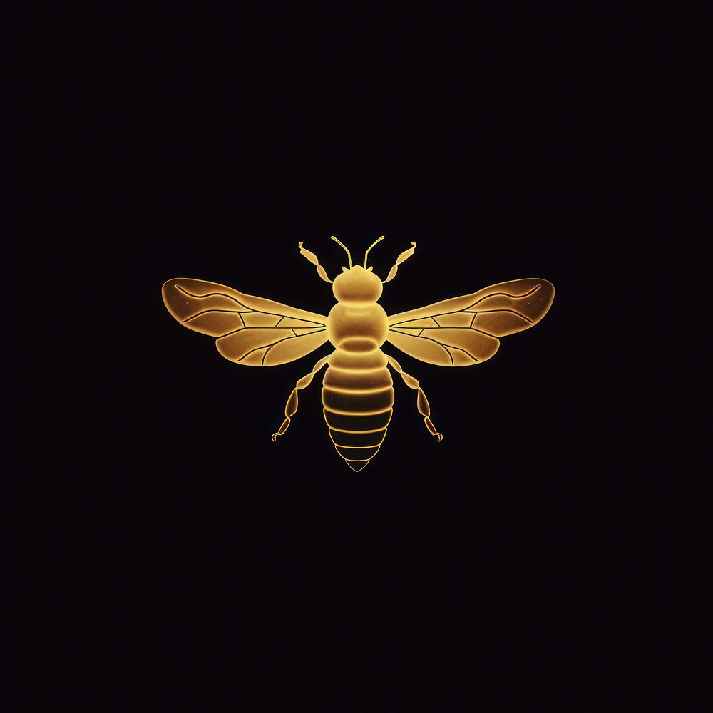 Golden honey bee invertebrate bumblebee andrena.