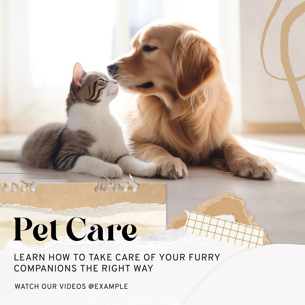 Pet care tutorials Instagram post template