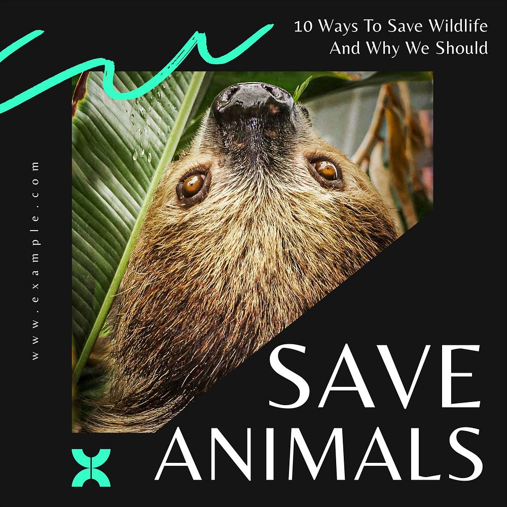Save animals Instagram post template  