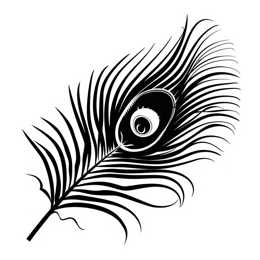 Peacock feather graphics illustrated drawing.