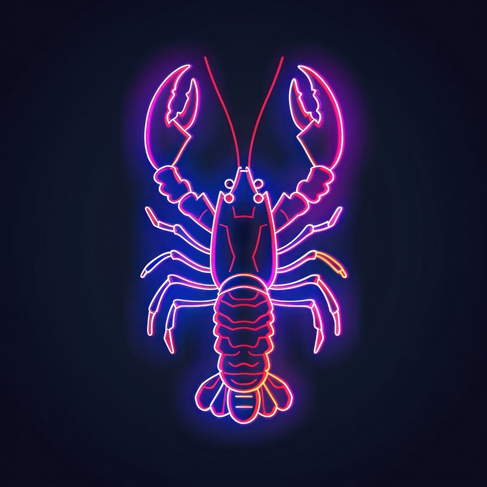 Lobster invertebrate chandelier seafood.