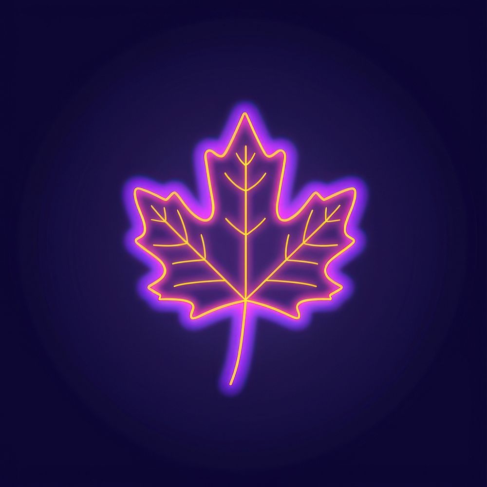 Maple neon lighting purple.