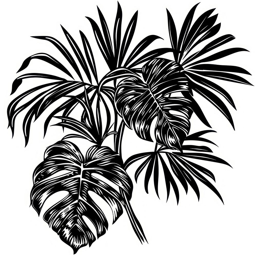 Tropical plant illustrated chandelier arecaceae.