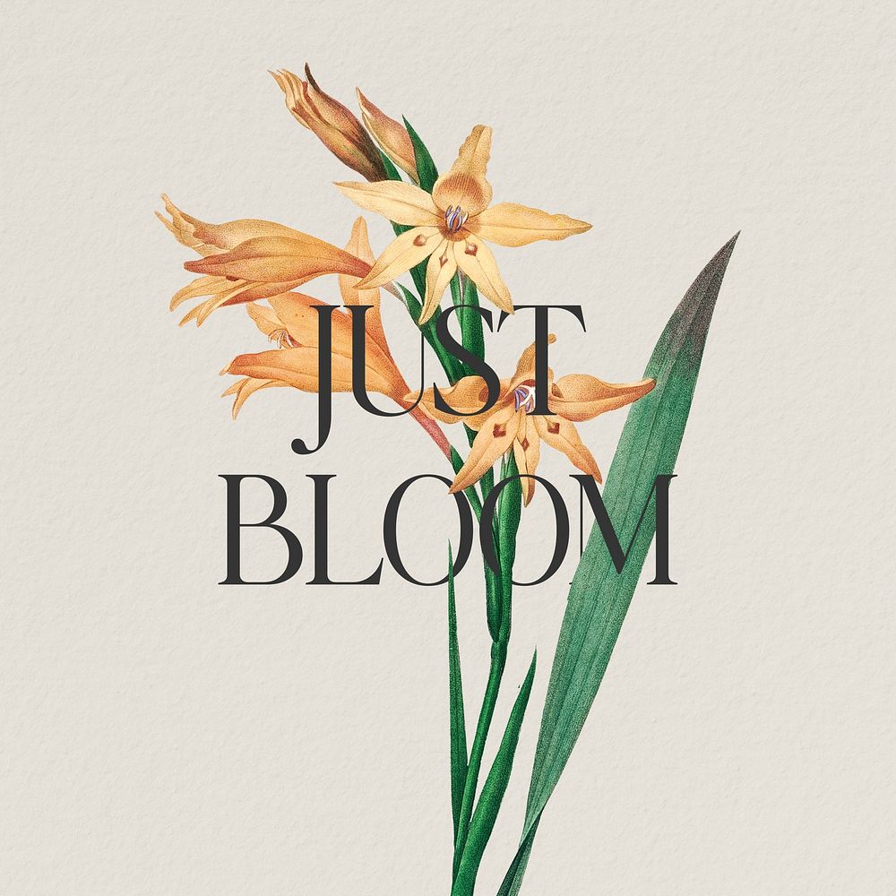 Bloom, positivity quote Instagram post template