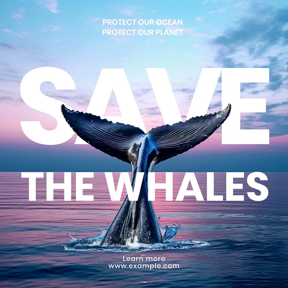 Save the whales Instagram post template