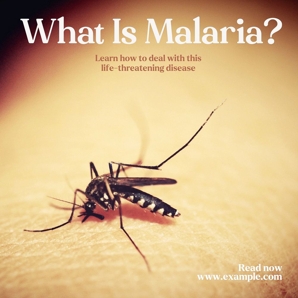 What is malaria Facebook post template