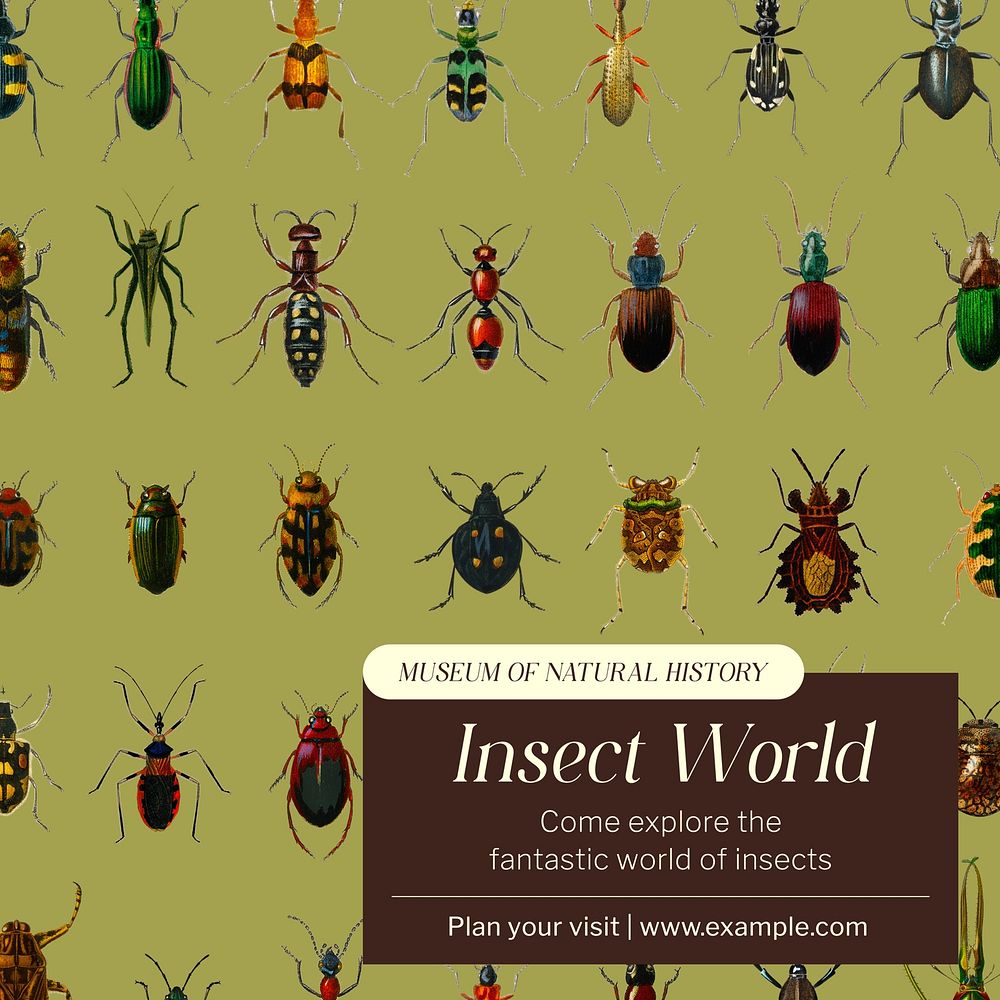 Insect world exhibition Instagram post template