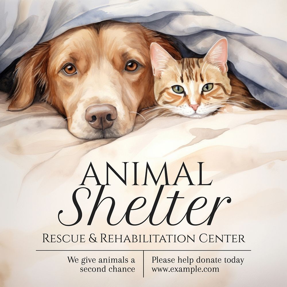 Animal shelter Instagram post template