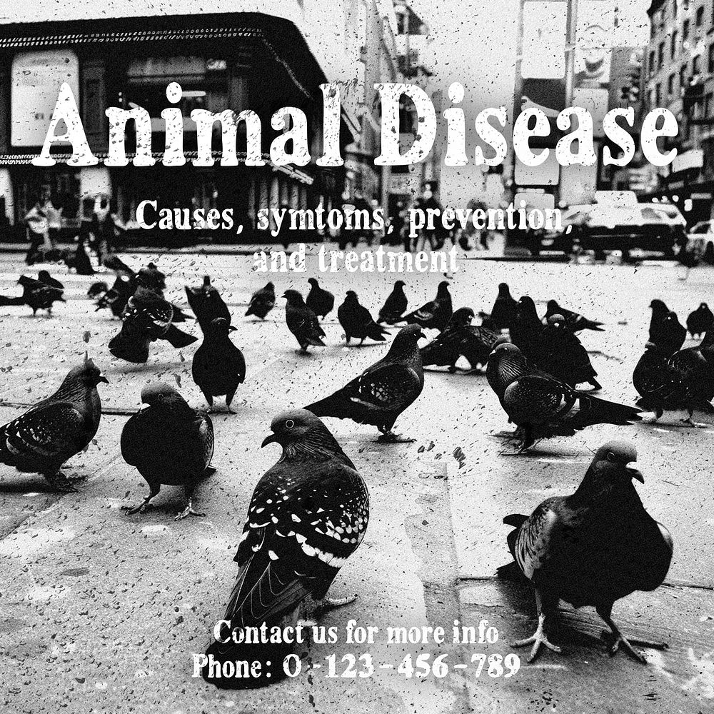 Animal disease Facebook post template