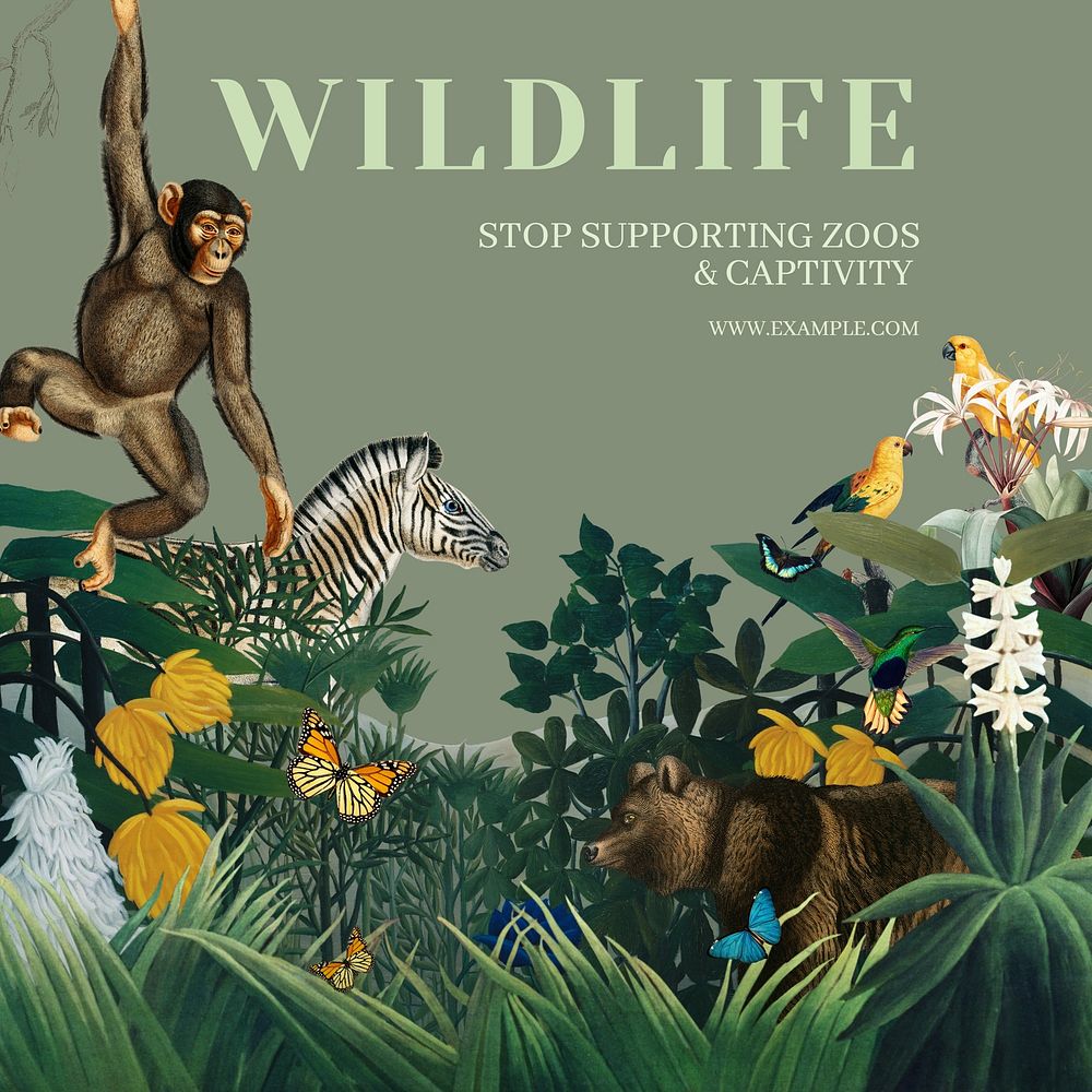 Stop wildlife captivity Instagram post template